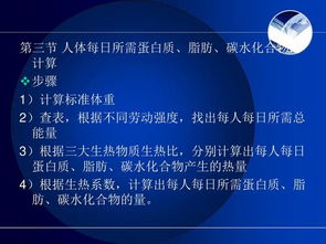 烹饪与膳食管理基础 餐饮管理的核心要素